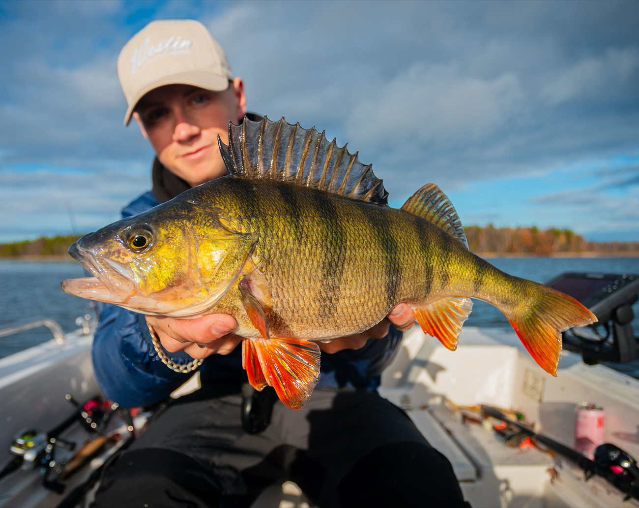 Westin W4 Finesse Shad 2nd 7'4''/220cm MH 10-28g 2sec